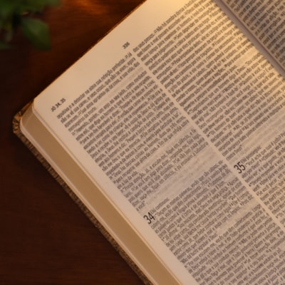 image_8908870b-d1e3-42d9-ab10-f65b6e6bc5af