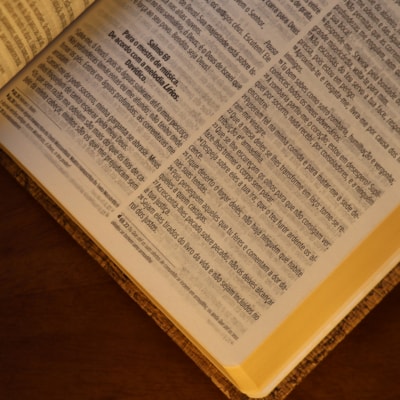 image_fc3d00a8-0442-41dc-8b7c-a5a06581c807