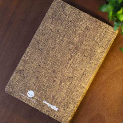 image_cfb95706-ec87-4842-8e6c-54b02c81ba5c