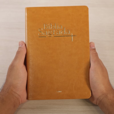 image_1f480deb-ebe5-482c-80f0-89f3db1e1d56