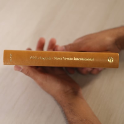 image_d6dbc582-fb9c-4c1a-93af-20eedb2a9e1e