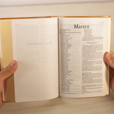 image_f879fdc3-ff4f-494e-a6db-3edb7df8e099