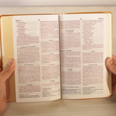 image_e3286531-f27b-407a-976c-520e27236b29