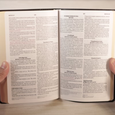 image_83629c37-0602-4720-b82d-b1975d6ba7f7