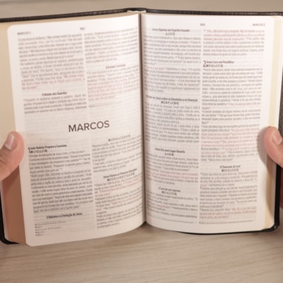 image_23cf37fb-c563-46a2-9f4b-5c504ee6de4a