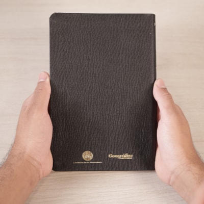 image_e11d767c-8d06-46ff-bbd2-8f9838a819e6