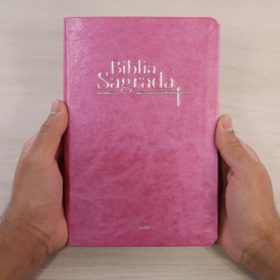 image_9fd772f4-cc27-4db6-beb3-41903c2b7259