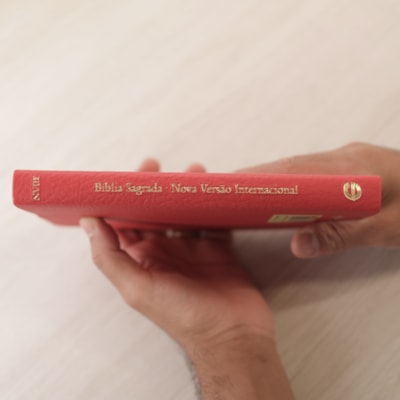 image_84d553d3-60ef-48ac-8a52-a7a0d3105766