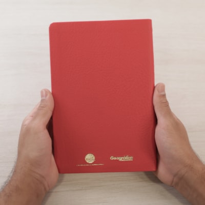 image_730dacf4-79b1-4a3a-9259-3d4c84613497