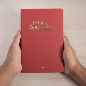 Segunda imagem do produto Bíblia Sagrada | NVI | Letra Normal | Capa Luxo Vermelha Fosca