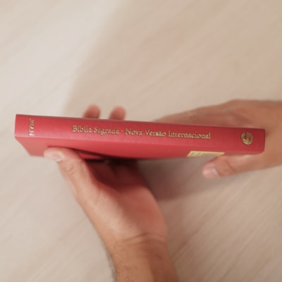 image_19b7797f-7305-478c-a868-372fb59ff8f1