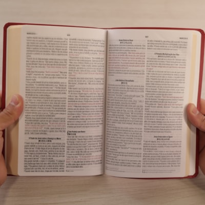 image_be561c9d-576d-4432-bd78-9d5815010044