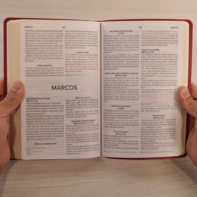 image_da87cd9c-d75f-4f64-b9b6-6c1bce53ec8c