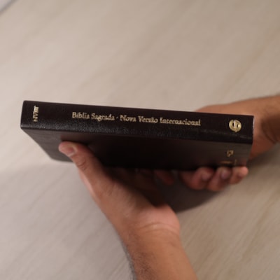 image_fbfe248a-573b-4358-a906-920b4c82f603