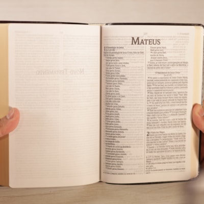 image_681fbda6-286b-461c-9b1b-165e93ce42ed