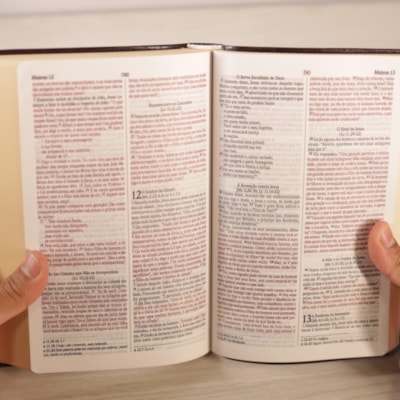 image_c5811793-2120-4d0c-ac77-2a32f05e5b26