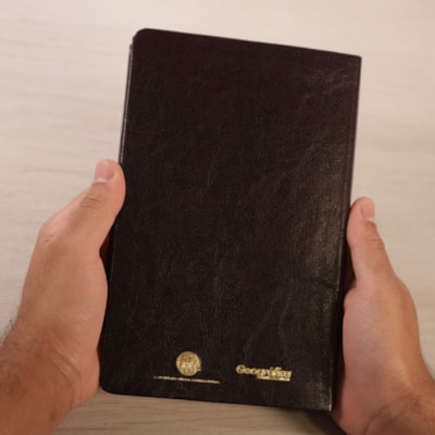 image_b1e3c668-7bb0-4af9-80c0-997aef937447