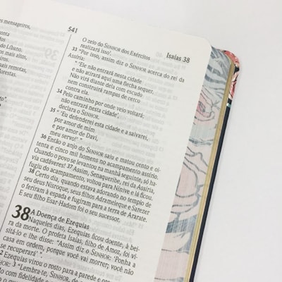 image_cd6365b5-9906-42ce-ac80-3ef4c47effb3