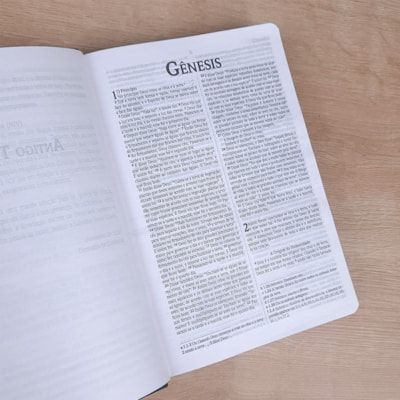 image_4f120679-a32d-4a6b-9795-d221d7291c41