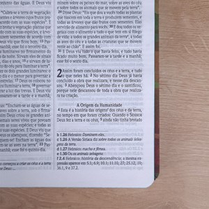 Bíblia Sagrada | NVI | Letra Normal | Capa Soft Touch | Leão Colorido