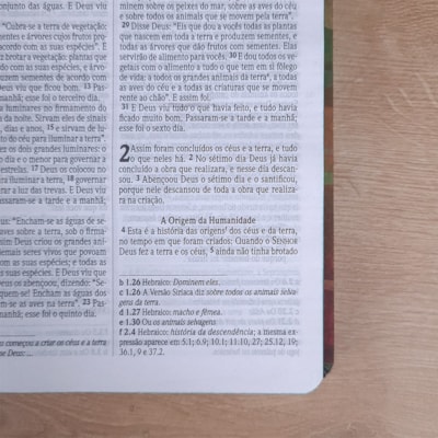 image_09fd6b8c-30e7-4e03-a4aa-79cb647a0c48