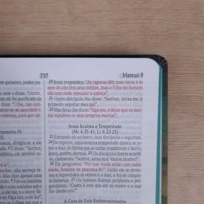 image_13a25a00-b7c7-4a61-845b-dabff7c72c27