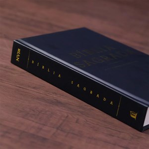 Bíblia Sagrada | NVI | Letra Normal | Ilustrada Capa Dura Preta