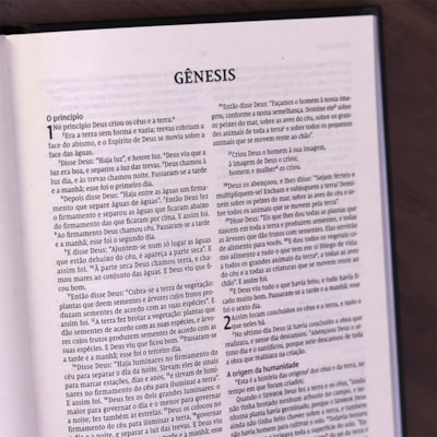 image_24bdf5ec-8b99-4640-847f-9d36b8b4df13