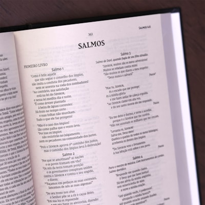 image_703ba939-becf-4bf5-9bf0-3ffbac4bc943