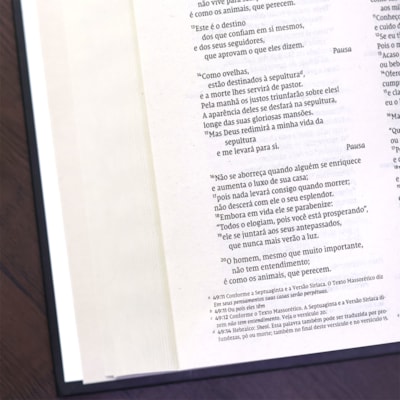 image_a8155416-28dc-42b4-86fc-42ace32c6cb8