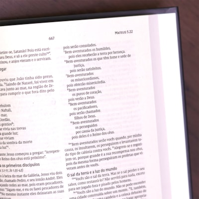 image_52c7f208-830d-40d6-8be3-0e4428864bbb