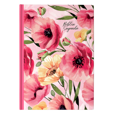 image_27bd0944-20dd-4673-a810-cf56874dd5aa