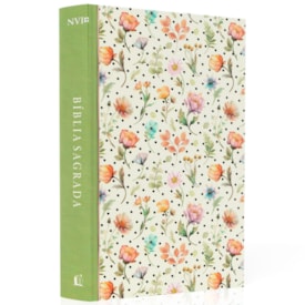 Bíblia Sagrada | NVI | Letra Normal | Ilustrada Capa Dura Recordações