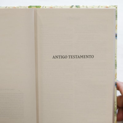 image_26507618-a401-41c3-aa1d-ebe2c027f601