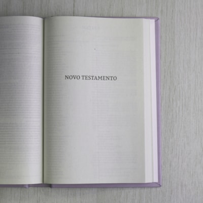 image_39f14cc5-446f-491c-bd1d-6b3b2784f331