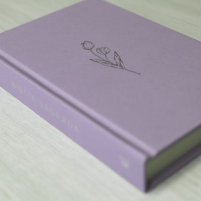 image_b96e42bc-f938-4834-98e3-7eff96a59177