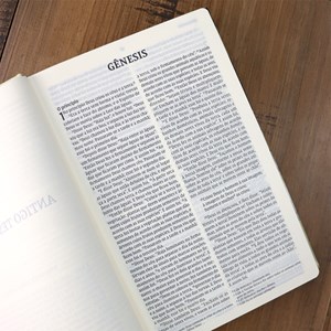 Bíblia Sagrada | NVI | Letra Normal | Leitura Perfeita | Capa Dura Tecido Bouquet