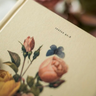 image_9b3c09a5-f1f6-4eab-a3a9-4489fccb79f4