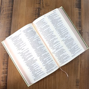 Bíblia Sagrada | NVI | Letra Normal | Leitura Perfeita | Capa Dura Tecido Bouquet