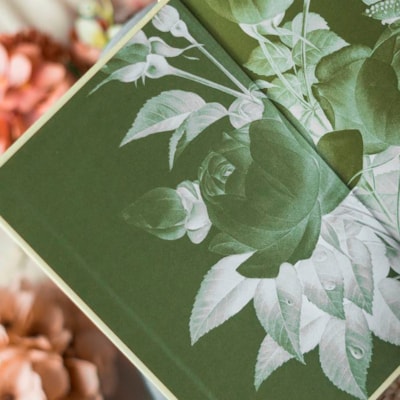 image_23fe94ed-458a-4e54-a76f-a5e3467afe80