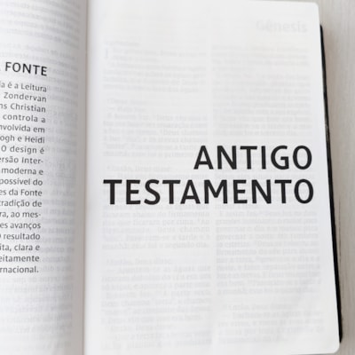 image_d04bc5a6-d478-4a0e-a36c-6e961c45e19c