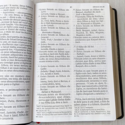 image_b0a118ba-c797-4042-b95d-7d1929f81a26