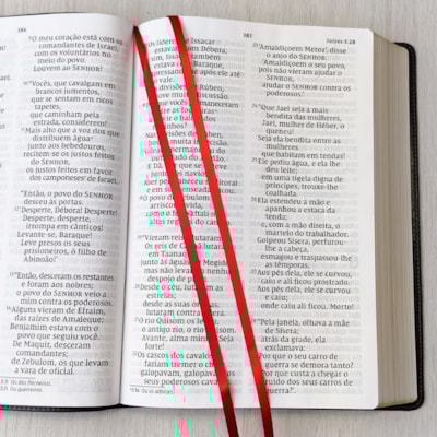 image_a7b604e9-359b-4e16-b888-f9639e0993c1