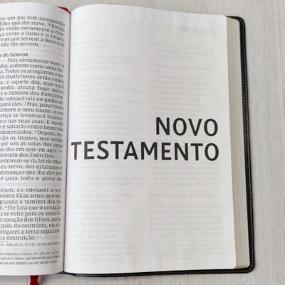 image_444c1da2-4bea-4489-817a-e507c5dc16a2