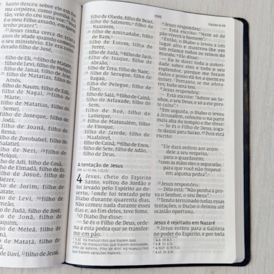 image_11e0812d-ca3d-4f30-9574-1da080219fa2