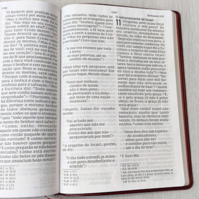 image_711486b3-8652-469c-aa74-28f78cd4296d