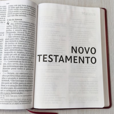 image_d02cab1a-b5c4-41d5-842e-a8441d21607c