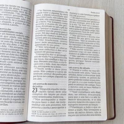 image_9fb28673-d253-4d94-b37c-cc3ef9e1289a