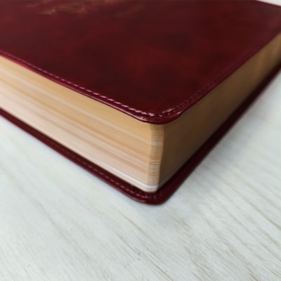 image_316b9af0-2d6d-4f1f-8350-4fd7f3203cdd