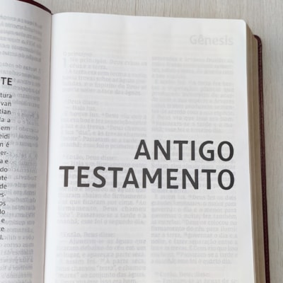 image_ca1bb135-4afa-4d72-90bf-98946397784b